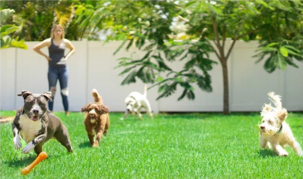 Beautiful home with a huge lawn